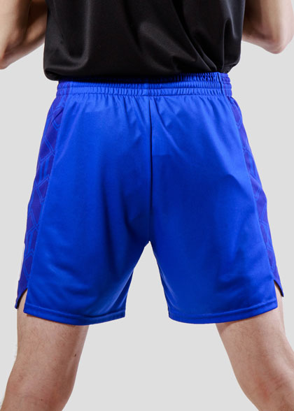 Волейбольные шорты мужские VOL-AMS-03-SUBL