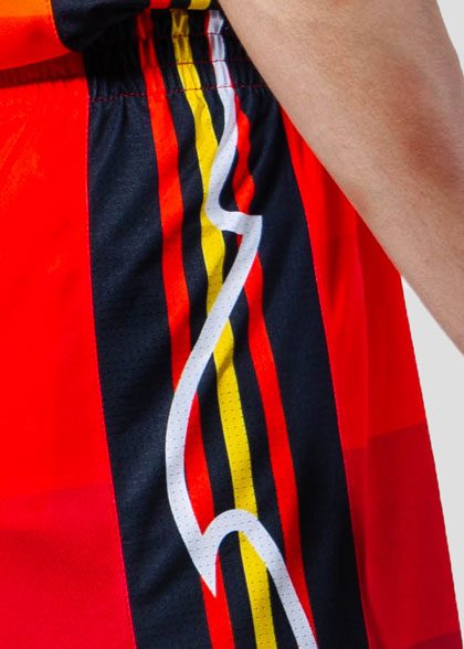 Баскетбольные шорты мужские BSK-AS07-SUBL